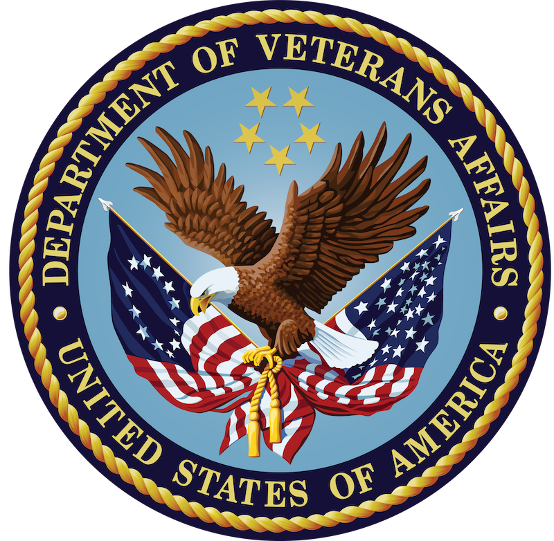 Department of Veterans Affairs United State of America badge