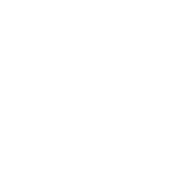 it security solutions icon