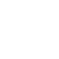 oem liaison services icon